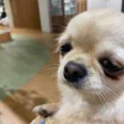 ヒメ日記 2026/04/14 13:39 投稿 ひな 秘密倶楽部 凛 船橋本店