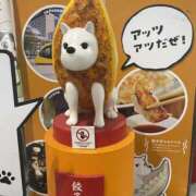 りま アッツアツ🥟🐶わっくわく♡ドッキドキ( •̀ㅁ•́;) 熟女の風俗最終章 宇都宮店