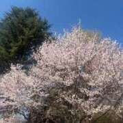 こと 🌸 ビデオdeはんど 横浜校