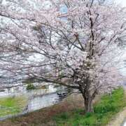 ヒメ日記 2026/04/06 21:53 投稿 みちる いわき小名浜ちゃんこ