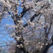 れん 🌸✨ Welcome Cafe(ウェルカムカフェ) 八王子本店