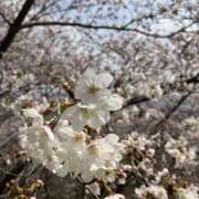 ヒメ日記 2026/03/29 15:19 投稿 平沢　める ハプニングランド