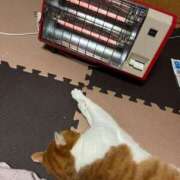 宮西ゆき テスト 五十路マダム 岐阜店