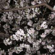 ヒメ日記 2026/04/21 00:10 投稿 もあ DOLCE