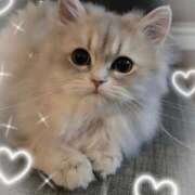 ヒメ日記 2026/03/22 05:32 投稿 ろい 即イキ淫乱倶楽部 船橋店