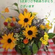 ヒメ日記 2026/07/01 16:23 投稿 みなみ 熟女の風俗最終章 国分寺店
