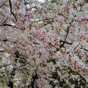 ヒメ日記 2026/04/06 07:02 投稿 わかな☆3/21体験です！ JKサークル