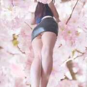 ヒメ日記 2026/05/06 14:06 投稿 石原 ゆかり 欲情のよろめき・第二章