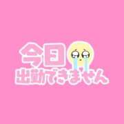 ヒメ日記 2026/09/21 12:15 投稿 しずか ギン妻パラダイス 和歌山店