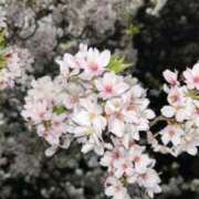 のん ありがとう😊 ワンダフル