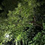ヒメ日記 2026/04/14 02:58 投稿 のん ワンダフル