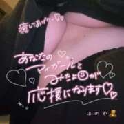 ヒメ日記 2026/04/13 08:02 投稿 ほのか 所沢東村山ちゃんこ