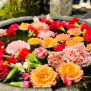 ヒメ日記 2026/04/18 03:23 投稿 ほのか 所沢東村山ちゃんこ