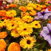 ヒメ日記 2026/04/28 22:33 投稿 ほのか 所沢東村山ちゃんこ