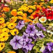 ヒメ日記 2026/04/29 23:32 投稿 ほのか 所沢東村山ちゃんこ