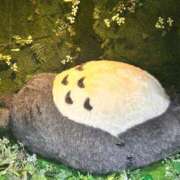 ヒメ日記 2026/04/30 08:03 投稿 ほのか 所沢東村山ちゃんこ