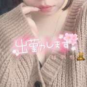 ヒメ日記 2026/05/23 16:02 投稿 ほのか 所沢東村山ちゃんこ