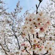 ヒメ日記 2026/04/02 11:58 投稿 ほのか 西東京市小平ちゃんこ