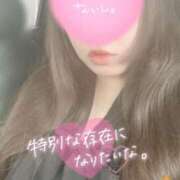 ヒメ日記 2026/04/06 08:26 投稿 ほのか 西東京市小平ちゃんこ