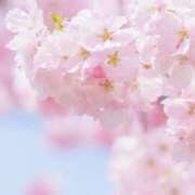 ヒメ日記 2026/04/15 12:07 投稿 ほのか 西東京市小平ちゃんこ