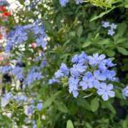 ヒメ日記 2026/04/22 23:37 投稿 ほのか 西東京市小平ちゃんこ