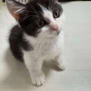 ☆あん☆ 出勤しました！ 100％本人が来る店！！デリヘル『ロイヤルフラッシュ』