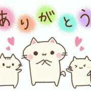 ヒメ日記 2026/03/25 16:05 投稿 かな 茨城ちゃんこ土浦つくば店