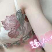 ヒメ日記 2026/03/28 00:27 投稿 ふうか 横浜人妻ヒットパレード（シンデレラグループ）