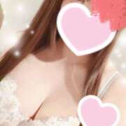 ヒメ日記 2026/04/07 09:00 投稿 有村 しほ キングアンドクイーン