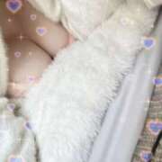 ヒメ日記 2026/04/01 08:22 投稿 うみ スピードエコ京橋店