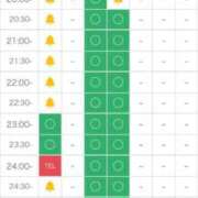 ヒメ日記 2026/04/24 12:24 投稿 ゆな★超S級！最高峰の逸材★ Bell～S級美女お姉様・人妻デリヘル～