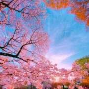 ヒメ日記 2026/04/06 09:21 投稿 あきな 尼妻（あまづま）