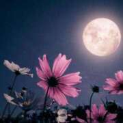 あきな 出勤しましたん♡ 尼妻（あまづま）