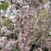 ヒメ日記 2026/04/20 09:22 投稿 あきな 尼妻（あまづま）