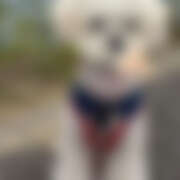 ヒメ日記 2026/04/15 20:10 投稿 ふわり EXE（エグゼ）