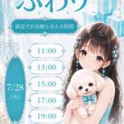 ヒメ日記 2026/07/28 08:31 投稿 ふわり EXE（エグゼ）