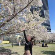 かなで★女子高育ちの箱入り娘★ 春だね🌸 Chloe鶯谷・上野店 S級素人清楚系デリヘル