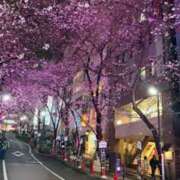 ヒメ日記 2026/03/30 12:15 投稿 ひめか セグレターリオ