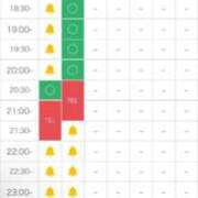 紅葉【モミジ】 1枠のみ🈳 富山人妻営業所