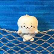 ヒメ日記 2026/08/27 09:14 投稿 はな 私のブラジャーどこいった？