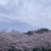 ヒメ日記 2026/04/05 18:58 投稿 りん 木更津人妻花壇