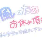 ヒメ日記 2026/09/21 11:30 投稿 りん 木更津人妻花壇