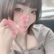 ヒメ日記 2026/04/01 15:16 投稿 せんり IRIS(岐阜)