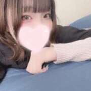 ヒメ日記 2026/04/02 14:56 投稿 せんり IRIS(岐阜)