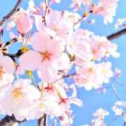 ヒメ日記 2026/03/21 03:07 投稿 かのん☆合法ロリっ娘の診察室 ジャックと豆の木