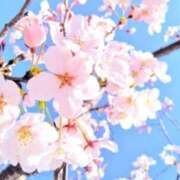 ヒメ日記 2026/03/27 20:48 投稿 三好初音(はつね) 東京不倫～とうきょうふりん～