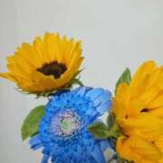ヒメ日記 2026/07/04 13:08 投稿 三好初音(はつね) 東京不倫～とうきょうふりん～