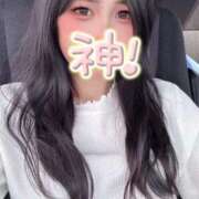 ヒメ日記 2026/03/31 08:09 投稿 クミ PALCO(パルコ)