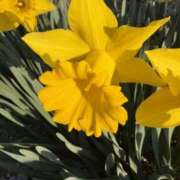 ヒメ日記 2026/03/21 08:21 投稿 りこ 熟女の風俗最終章 宇都宮店