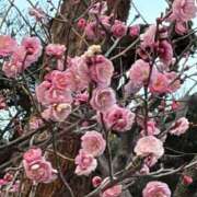 ヒメ日記 2026/03/21 18:32 投稿 りこ 熟女の風俗最終章 宇都宮店